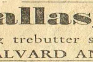 Bilde av Dagens Kanin